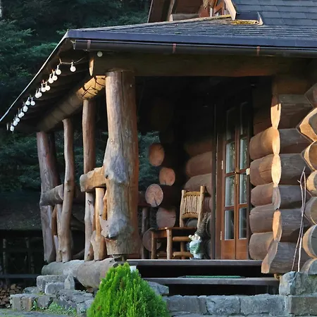 Forest House Exclusive Skhidnytsia