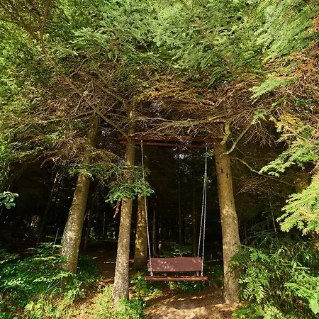 Forest House Exclusive * Skhidnytsia