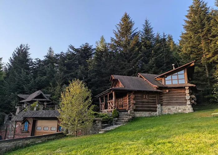 Forest House Exclusive Chalet