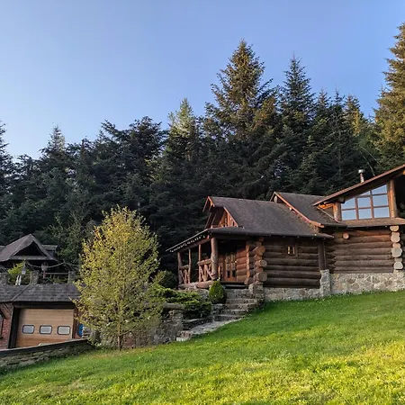 Forest House Exclusive Шале